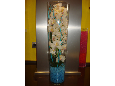 Floristeria Susi -  Jarrón de cristal con rama de orquideas VICTORIA